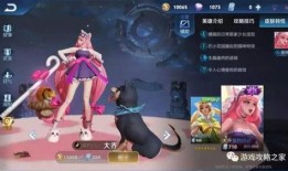 大乔情人节皮肤爆料视频,浪漫花语，美轮美奂